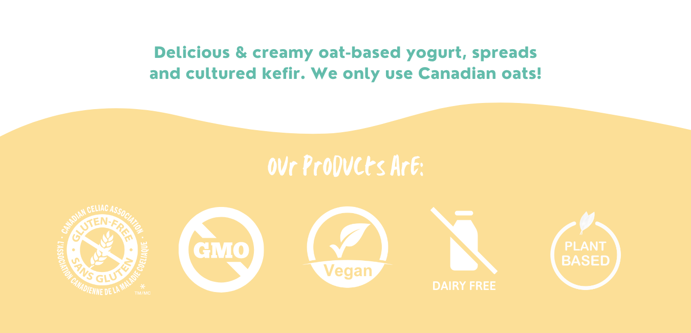 Delicious and creamy oat-based yogurt, spreads, and cultured kefir using Canadian oats.